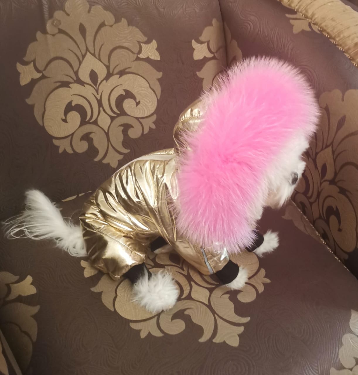 Melenni